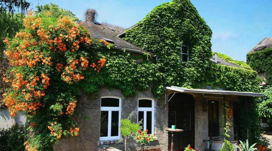 Weingut Dr. Nägler CC by Nägler | © Weingut Dr. Nägler CC by Nägler