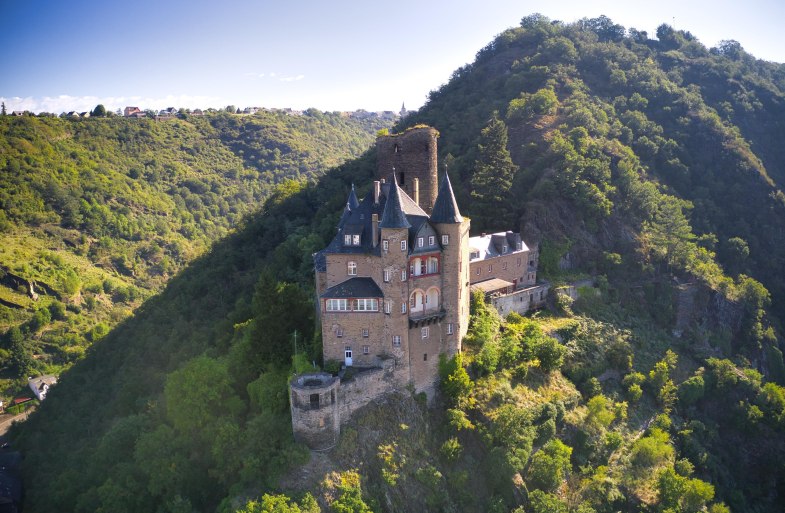 Katz | © Sebastian Reifferscheid Katz | © Sebastian Reifferscheid