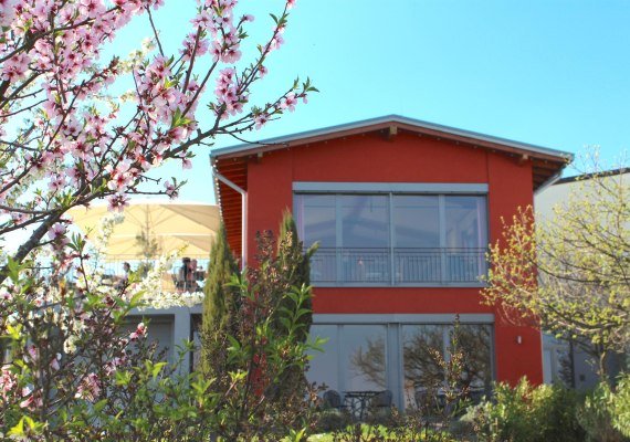 Vinothek Weingut Freimuth | &copy; Weingut Freimuth