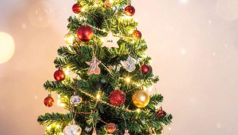 canva Weihnachtsbaum | &copy; TI Hunsr&uuml;ck-Mittelrhein