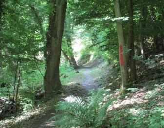 © Sandra Schnober, Stadt St. Goar © Sandra Schnober, Stadt St. Goar