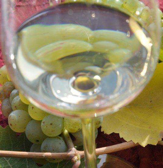 Maigl&uuml;ck im Glas | &copy; Weingut Toni Lorenz