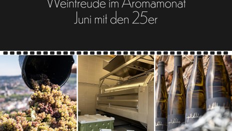 Drehpunkt1 | &copy; Weingut Hildegardishof