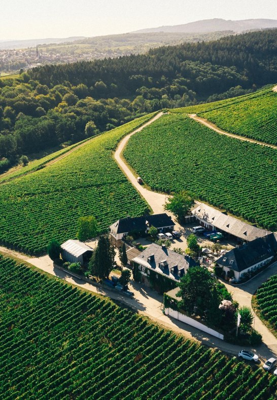 Dom&auml;ne Rauenthal