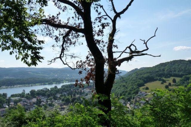 Keltische H&ouml;hensiedlung auf dem Hahn | &copy; Tourist-Information Bad Breisig