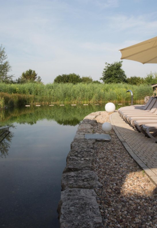 Aussenbereich/CopyrightRheinwelle | &copy; Regionalbad Bingen-Ingelheim GmbH