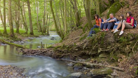 Traumpfad Saynsteig: Rast im Brexbachtal | &copy; Klaus-Peter Kappest / REMET