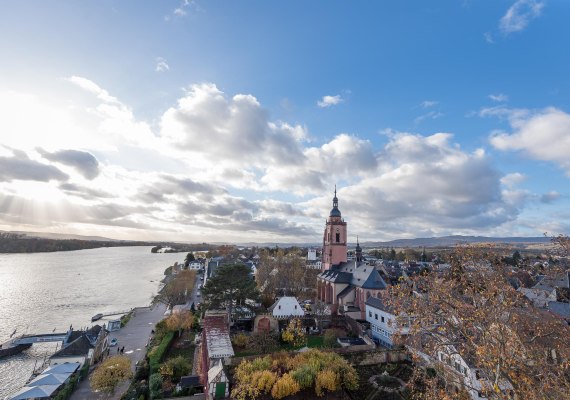 Kurfürstliche Burg Eltville1 | © Rheingau- Taunus Kultur und Tourismus GmbH/ Saskia Marloh Kurfürstliche Burg Eltville1 | © Rheingau- Taunus Kultur und Tourismus GmbH/ Saskia Marloh