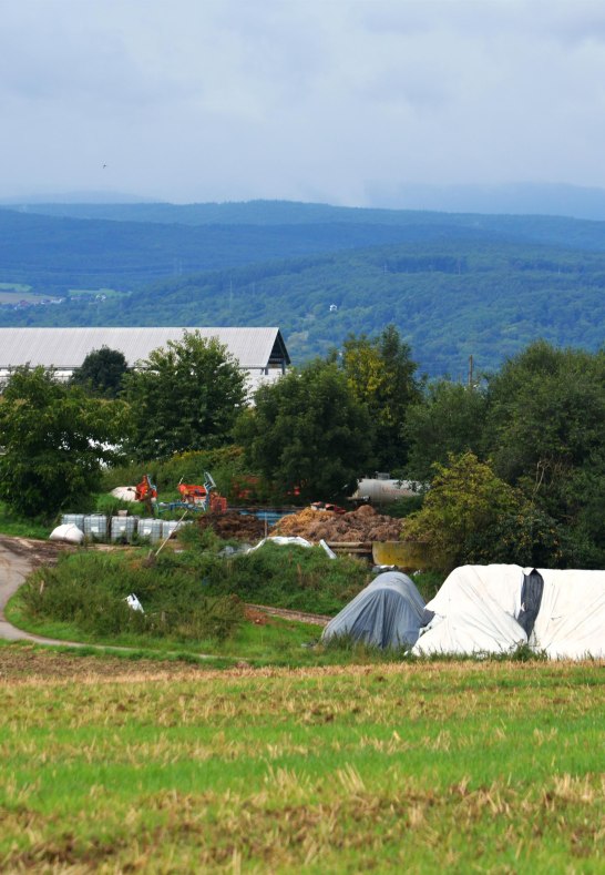 Brückners Lädchen3 | © Manfred und PIa Brückner Brückners Lädchen3 | © Manfred und PIa Brückner