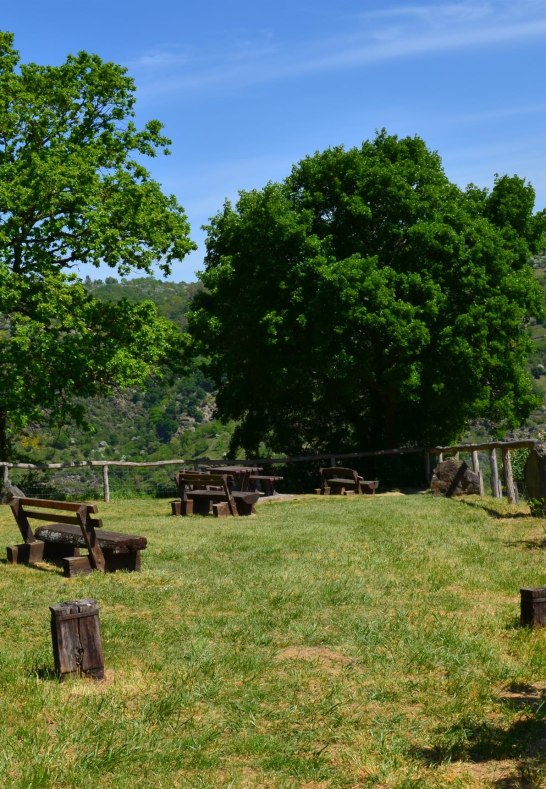 Pfalzblick 4 | © Tourist-Information Oberwesel Pfalzblick 4 | © Tourist-Information Oberwesel
