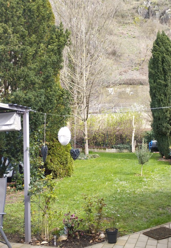 IMG_20240314_115931 | &copy; Schmidt