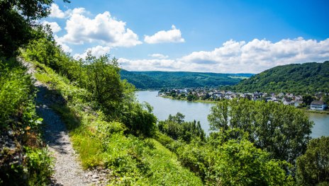 Zecherweg bei Braubach | &copy; Henry Tornow