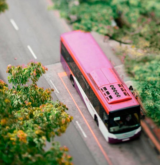 Deichstadtexpress | &copy; Unsplash
