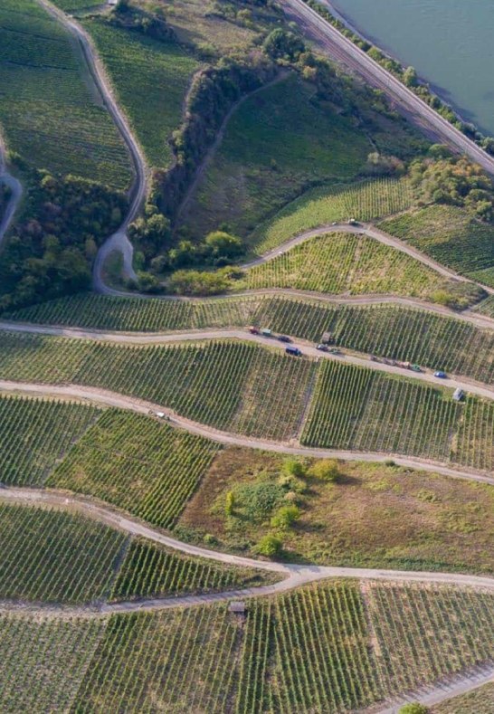 Fetz4 | © Fetz – Weingut & Destillerie Fetz4 | © Fetz – Weingut & Destillerie