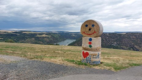 Heum&auml;nnchen | &copy; T. Biersch