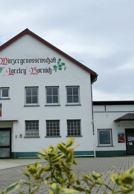 Winzergenossenschaft | &copy; Quelle: Winzergenossenschaft