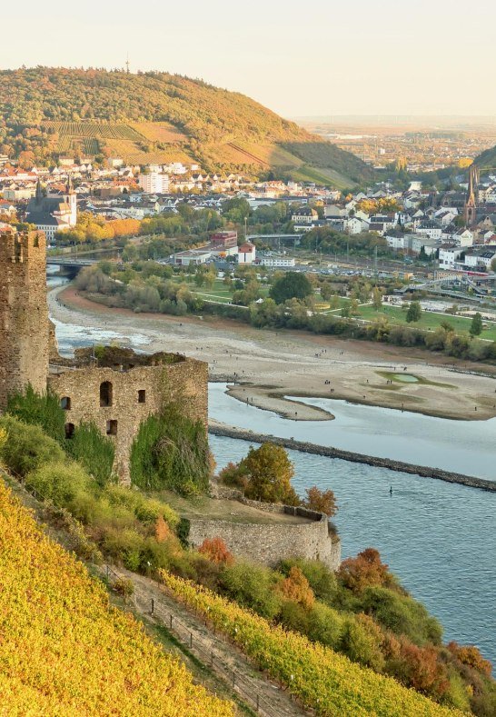 Burgruine Ehrenfels | © iStock