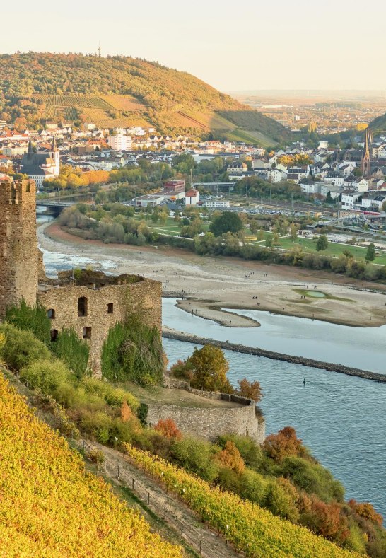 Burgruine Ehrenfels | © iStock