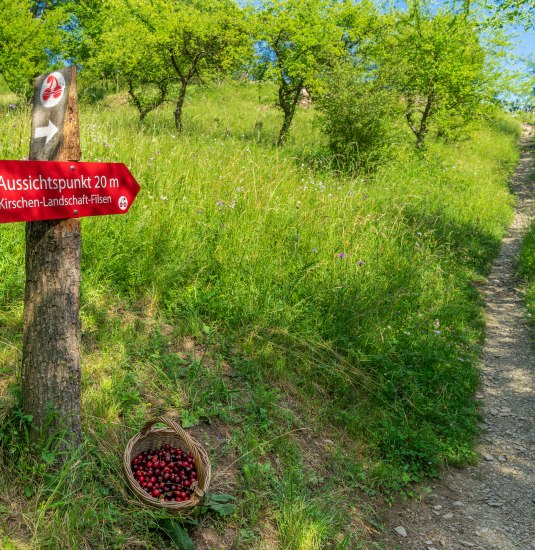 Filsen Cherry Trail | © Zweckverband Welterbe Oberes Mittelrheintal