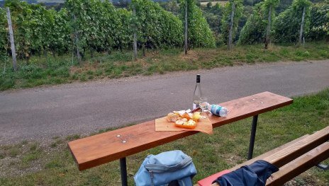 Picknickbank am Weinberg | © E. Bender Picknickbank am Weinberg | © E. Bender