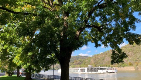 &copy; Tourist Information Boppard