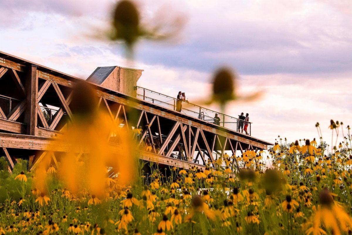 Plattform am Abend | © Johannes Bruchhof