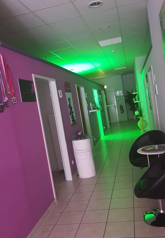 Tropical 2 | © Jessica Bonnek Tropical 2 | © Jessica Bonnek