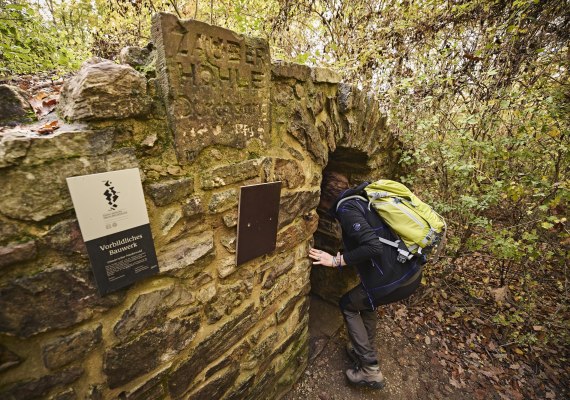 Ein/Ausgang Zauberhöhle | © Marco Rothbrust/Romantischer Rhein Tourismus GmbH Ein/Ausgang Zauberhöhle | © Marco Rothbrust/Romantischer Rhein Tourismus GmbH