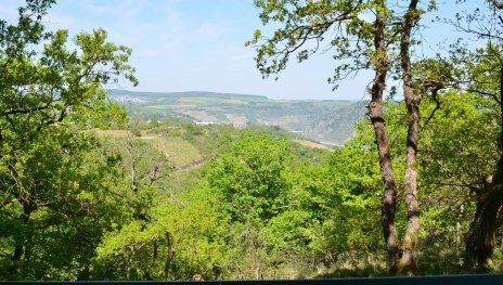 Hinnerbeil | © Tourist-Information Oberwesel Hinnerbeil | © Tourist-Information Oberwesel