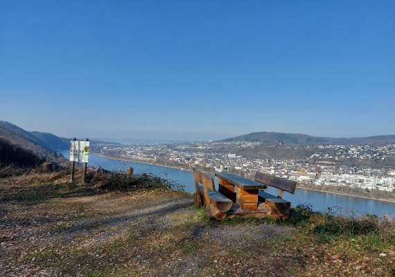 Tisch und Bänke | © TI Erlebnis Rheinbogen Tisch und Bänke | © TI Erlebnis Rheinbogen