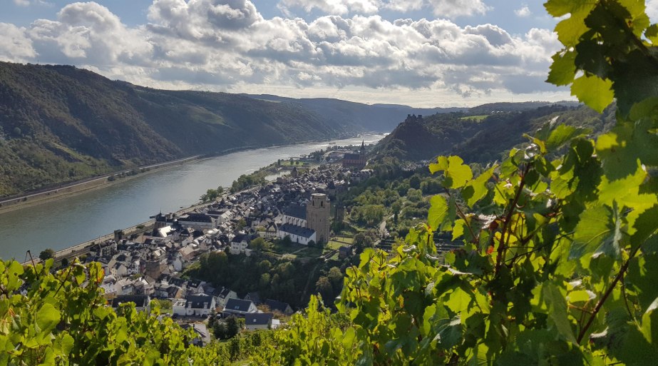 Bank Urbar | &copy; T. Castor