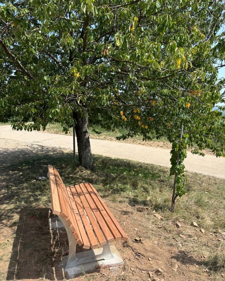 Bank im Drachenstein | &copy; Maren Gutberlet