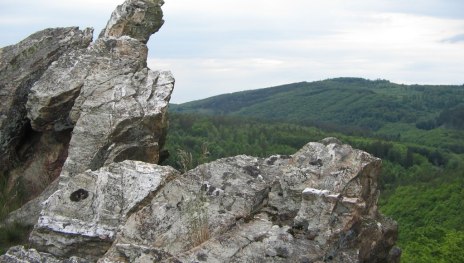 &copy; Sandra Schnober, Stadt St. Goar
