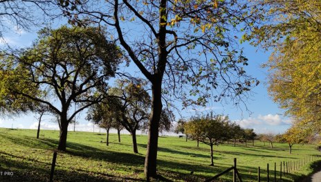 &copy; Sabrina Neihs, Romantischer Rhein Tourismus GmbH