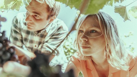 &copy; Weingut Heilemann