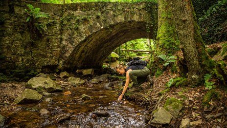 Morgenbachtal mit Brücke | © Mahlow Media Winningen Morgenbachtal mit Brücke | © Mahlow Media Winningen