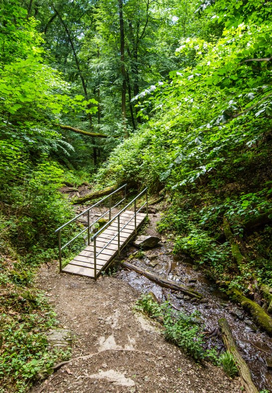 Ruppertsklamm | © Henry Tornow Ruppertsklamm | © Henry Tornow