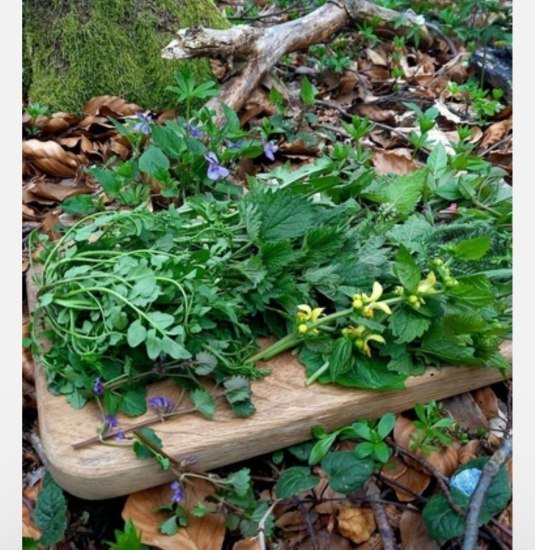 Wein | &copy; Weingut Lorenz