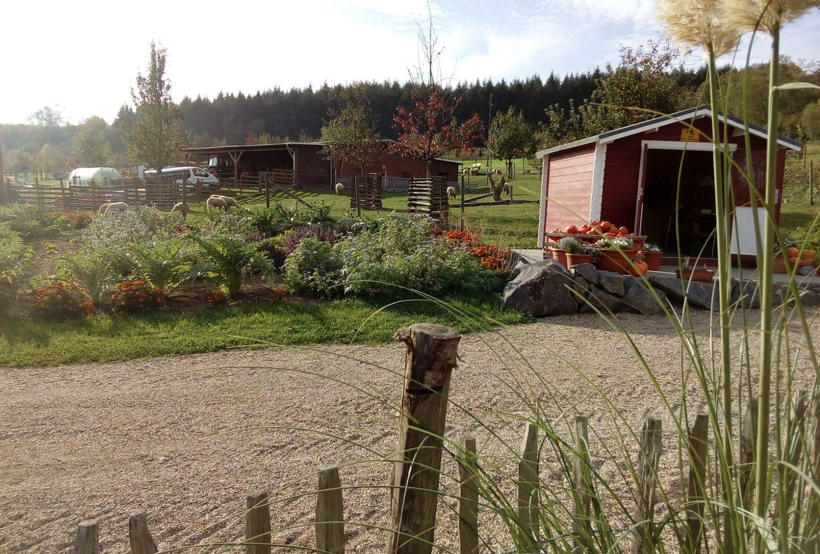 Verkaufsh&auml;uschen Permakultur | &copy; Andernach.net