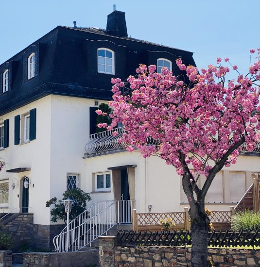 Au&szlig;enansicht | &copy; Eva Dick