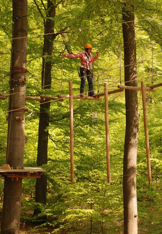 Kletterwald | © Protime GmbH Kletterwald | © Protime GmbH