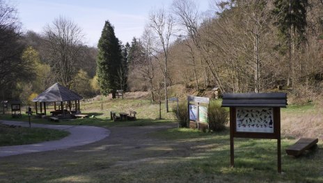 Waldforum | © Bernhard Vogt Waldforum | © Bernhard Vogt