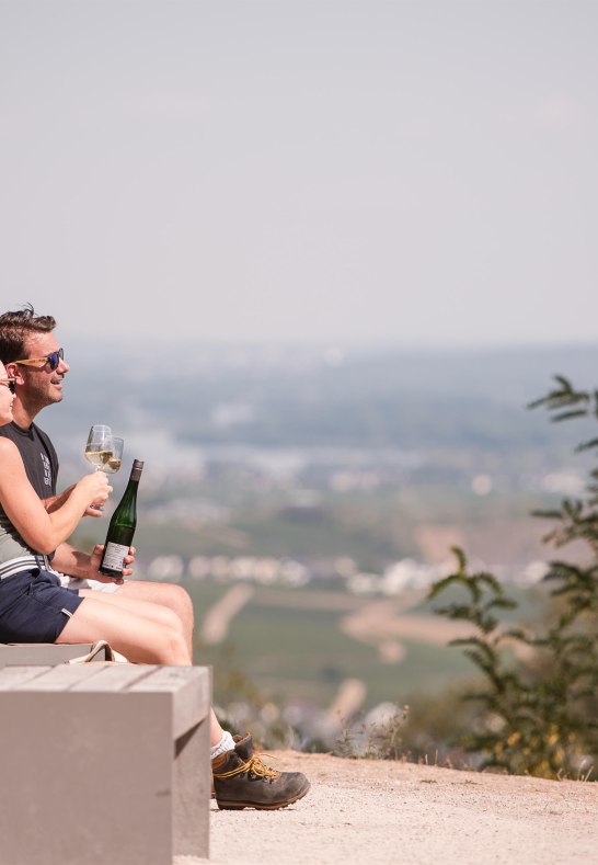 Niederwald-Tempel_Aussicht_Saskia Marloh | &copy; RTKT, Saskia Marloh