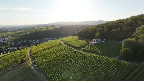 image00122 | © Weinbergshaus by Diefenhardt
