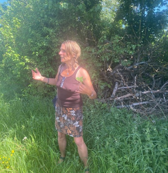 &copy; Angelika H&ouml;lz