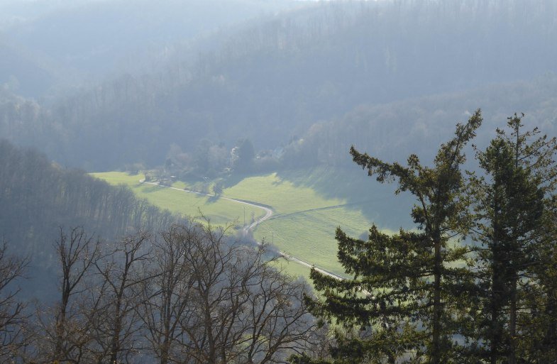 Blick vom Balkon in den grünen Heilwald | © Schröter-Bukvic