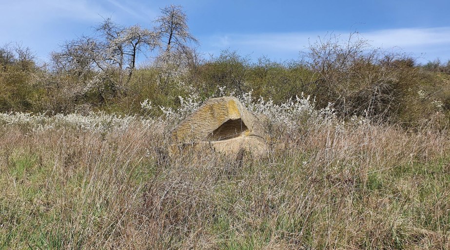 Liegende 1 | &copy; T. Biersch