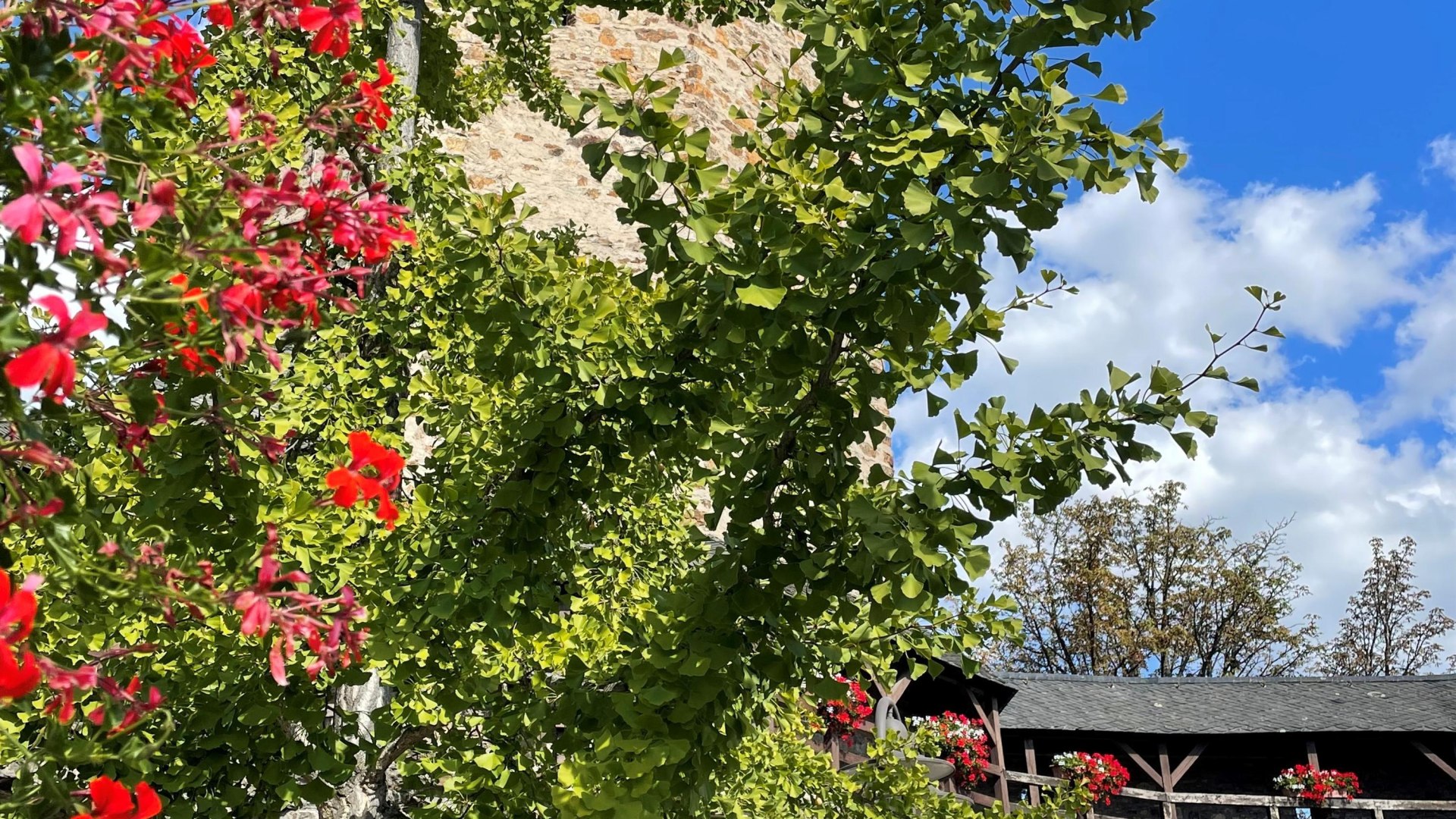 Stadtf&uuml;hrung | &copy; Tanja Stienemeier