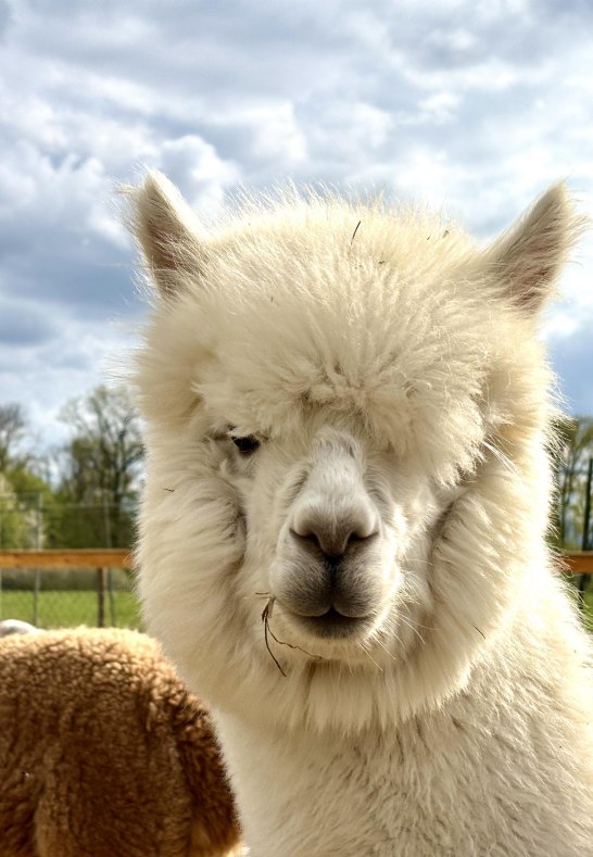 Richy´s Ranch 2 | © Richard Nietulski