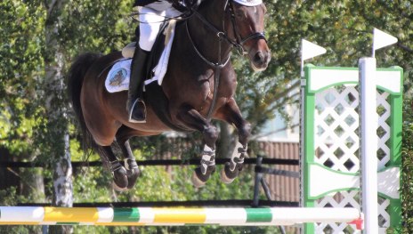 Sprung | © Isabelle Diesler Sprung | © Isabelle Diesler